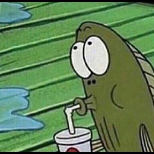 Meet your Posher, Tamia